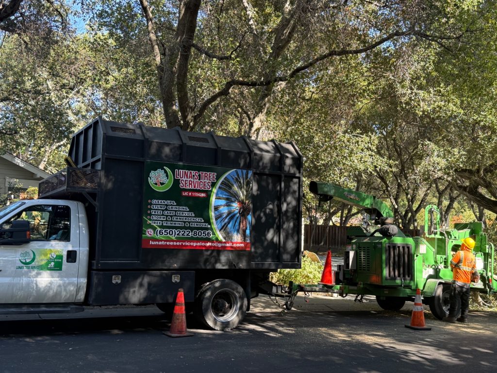 Luna’s Tree Service truck and wood chipper at a local tree care job